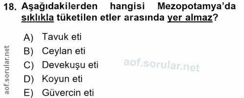 18. soru: Aşağıdakilerden hangisi Mezopotamya'da sıklıkla tüketilen etler arasında yer almaz? A) Tavuk eti B) Ceylan eti C) Dev…