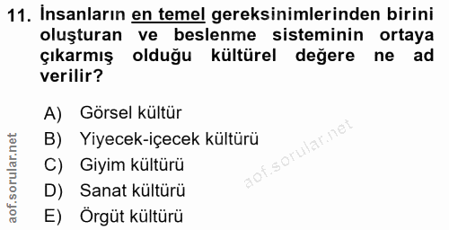 11. soru: Insanların en temel gereksinimlerinden birini oluşturan ve beslenme sisteminin ortaya çıkarmış olduğu kültürel değere…