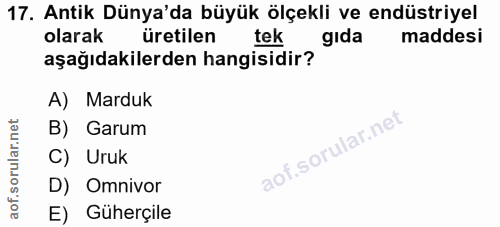 17. soru: Antik Dünya'da büyük ölçekli ve endüstriyel olarak üretilen tek gida maddesi aşağıdakilerden hangisidir? A) Marduk B)…