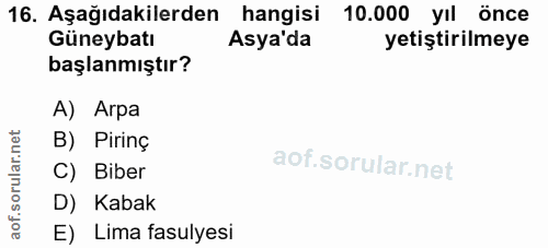 16. soru: Aşağıdakilerden hangisi 10.000 yil önce Güneybatı Asya'da yetiştirilmeye başlanmıştır? A) Arpa B) Pirinç C) Biber D)…