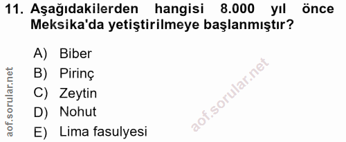 11. soru: Aşağıdakilerden hangisi 8.000 yıl önce Meksika'da yetiştirilmeye başlanmıştır? A) Biber B) Pirinç C) Zeytin D) Nohut…