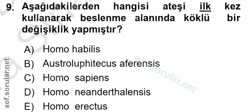 9. soru: Aşağıdakilerden hangisi ateşi ilk kez kullanarak beslenme alanında köklü bir değişiklik yapmıştır? A) Homo habilis B)…