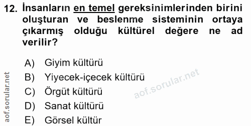 12. soru: Insanların en temel gereksinimlerinden birini oluşturan ve beslenme sisteminin ortaya çıkarmış olduğu kültürel degere…