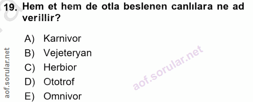 19. soru: Hem et hem de otla beslenen canlilara ne ad verillir? A) Karnivor B) Vejeteryan C) Herbior D) Ototrof E) Omnivor