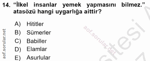 14. soru: "İlkel insanlar yemek yapmasını bilmez." atasözü hangi uygarlığa aittir? A) Hititler B) Sümerler .sorular C) Babiller…