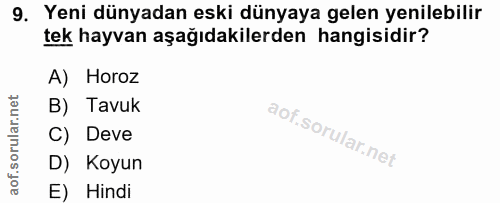 9. soru: Yeni dünyadan eski dünyaya gelen yenilebilir tek hayvan aşağıdakilerden hangisidir? A) Horoz B) Tavuk C) Deve D) Koyu…