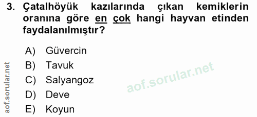 3. soru: Çatalhöyük kazılarında çıkan kemiklerin oranına göre en çok hangi hayvan etinden faydalanılmıştır? A) Güvercin B) Tav…