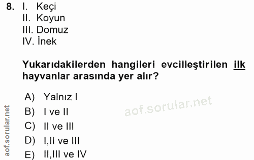 8. soru: I. Keçi II. Koyun III. Domuz IV. Inek Yukarıdakilerden hangileri evcilleştirilen ilk hayvanlar arasında yer alır? A)…