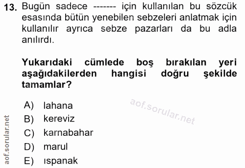 13. soru: Bugün sadece -- için kullanılan bu sözcük esasında bütün yenebilen sebzeleri anlatmak için kullanılır ayrıca sebze pa…
