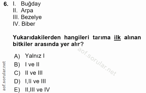 6. soru: I. Buğday II. Arpa IlI. Bezelye IV. Biber Yukarıdakilerden hangileri tarıma ilk alınan bitkiler arasında yer alır? A)…