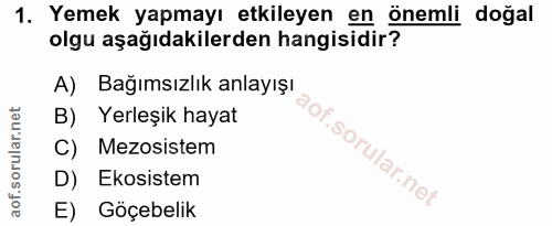 1. soru: Yemek yapmayı etkileyen en önemli doğal olgu aşağıdakilerden hangisidir? A) Bağımsızlık anlayışı B) Yerleşik hayat C)…