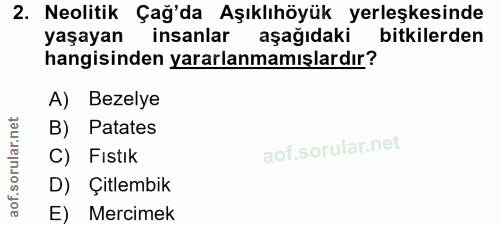 2. soru: Neolitik Çağ'da Aşıklıhöyük yerleşkesinde yaşayan insanlar aşağıdaki bitkilerden hangisinden yararlanmamışlardır? A)…