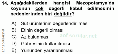 14. soru: Aşağıdakilerden hangisi Mezopotamya'da koyunun çok değerli kabul edilmesinin nedenlerinden biri değildir? A) Süt ürün…