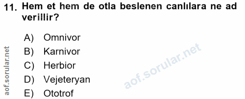 11. soru: Hem et hem de otla beslenen canlılara ne ad verillir? A) Omnivor B) Karnivor C) Herbior D) Vejeteryan E) Ototrof