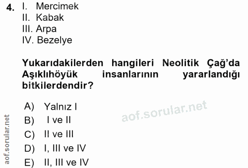 4. soru: I. Mercimek II. Kabak IlI. Arpa IV. Bezelye Yukarıdakilerden hangileri Neolitik Çağ'da Aşıklıhöyük insanlarının yarar…
