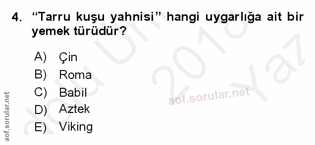 4. soru: "Tarru kuşu yahnisi" hangi uygarlığa ait bir yemek türüdür? A) Çin B) Roma C) Babil D) Aztek E) Viking