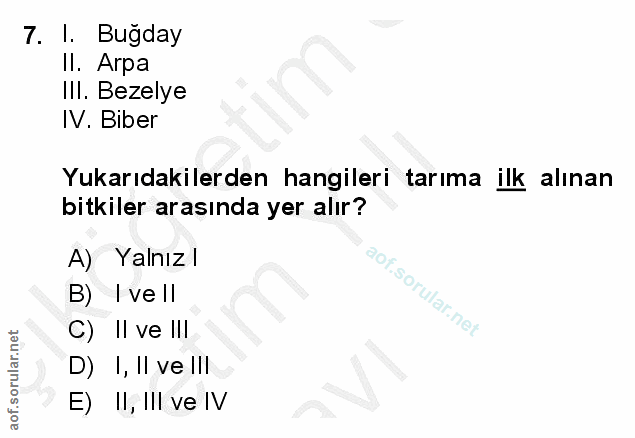 7. soru: I. Bugday II. Arpa IlI. Bezelye IV. Biber Yukarıdakilerden hangileri tarıma ilk alınan bitkiler arasında yer alır? A)…