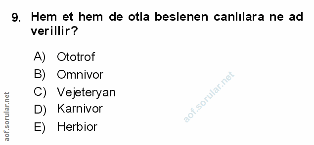 9. soru: Hem et hem de otla beslenen canlilara ne ad verillir? A) Ototrof B) ' Omnivor C) Vejeteryan D) Karnivor E) Herbior