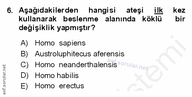 6. soru: Aşağıdakilerden hangisi ateşi ilk kez kullanarak beslenme alanında köklü bir degişiklik yapmıştır? A) Homo sapiens B)…
