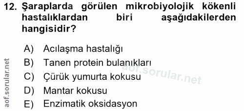 12. soru: Şaraplarda görülen mikrobiyolojik kökenli hastalıklardan aşağıdakilerden hangisidir? A) Acılaşma hastalığı B) Tanen p…