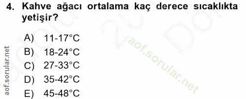 4. soru: Kahve ağacı ortalama kaç derece sıcaklıkta yetişir? A) 11-17°C B) 18-24°C C) 27-33°C D) 35-42°C E) 45-48°C