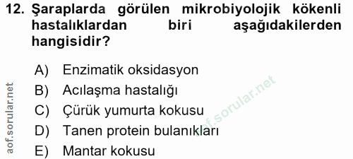 12. soru: Şaraplarda görülen mikrobiyolojik kökenli hastalıklardan biri aşağıdakilerden hangisidir? A) Enzimatik oksidasyon B)…