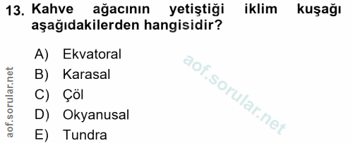 13. soru: Kahve ağacının yetiştiği iklim kuşağı aşağıdakilerden hangisidir? A) Ekvatoral B) Karasal C) Çöl D) Okyanusal E) Tundra