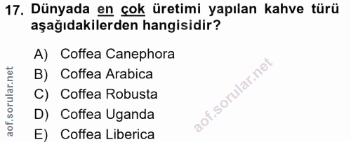 17. soru: Dünyada en çok üretimi yapılan kahve türü aşağıdakilerden hangisidir? A) Coffea Canephora B) Coffea Arabica C) Coffea…