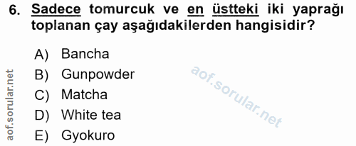 6. soru: Sadece tomurcuk ve en üstteki iki yaprağı toplanan çay aşağıdakilerden hangisidir? A) Bancha B) Gunpowder C) Matcha D…