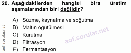20. soru: Aşağıdakilerden hangisi bira üretim aşamalarından biri değildir? A) Süzme, kaynatma ve soğutma B) Maltın öğütülmesi C…