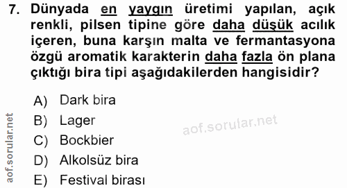 7. soru: Dünyada en yaygın üretimi yapılan, açık renkli, pilsen tipine göre daha düşük acılık içeren, buna karşın malta ve fer…
