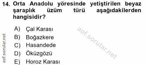 14. soru: Orta Anadolu yöresinde yetiştirilen beyaz şaraplık üzüm türü aşağıdakilerden hangisidir? A) Çal Karası B) Boğazkere C…