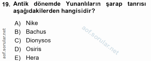 19. soru: Antik dönemde Yunanlıların sarap tanrisı aşağıdakilerden hangisidir? A) Nike B) Bachus C) Dionysos D) Osiris E) Hera