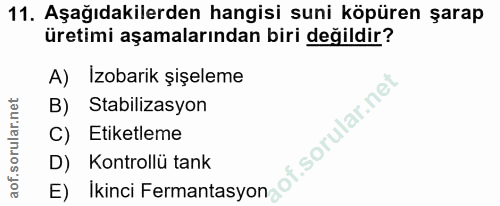 11. soru: Aşağıdakilerden hangisi suni köpüren şarap üretimi aşamalarından biri değildir? A) Izobarik şişeleme B) Stabilizasyon…