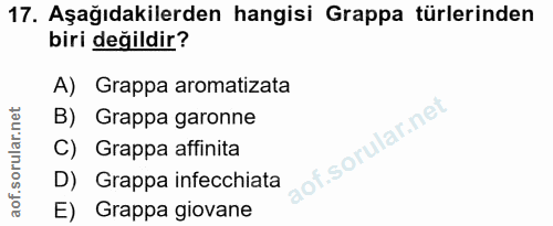 17. soru: Aşağıdakilerden hangisi Grappa türlerinden biri değildir? A) Grappa aromatizata B) Grappa garonne lof. C) Grappa affi…