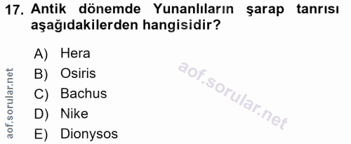 17. soru: Antik dönemde Yunanlıların sarap tanrisı aşağıdakilerden hangisidir? A) Hera B) Osiris C) Bachus D) Nike E) Dionysos