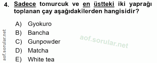4. soru: Sadece tomurcuk ve en üstteki iki yaprağı toplanan çay aşağıdakilerden hangisidir? A) Gyokuro B) Bancha C) Gunpowder…