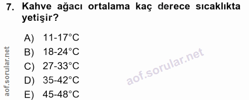 7. soru: Kahve ağacı ortalama kaç derece sıcaklıkta yetişir? A) 11-17°C B) 18-24°C C) 27-33°C D) 35-42°C E) 45-48°C