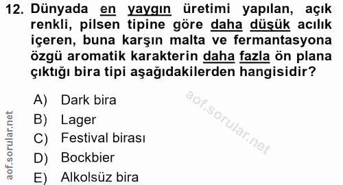 12. soru: Dünyada en yaygın üretimi yapılan, açık renkli, pilsen tipine göre daha düşük acılık içeren, buna karşın malta ve fer…