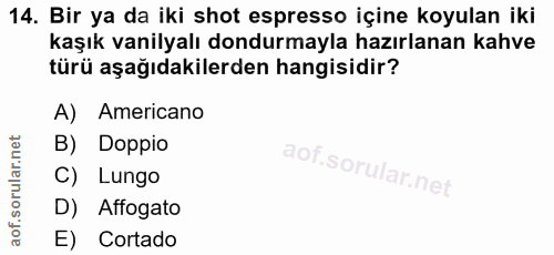 14. soru: Bir ya da iki shot espresso içine koyulan iki kaşık vanilyalı dondurmayla hazırlanan kahve türü aşağıdakilerden hangi…