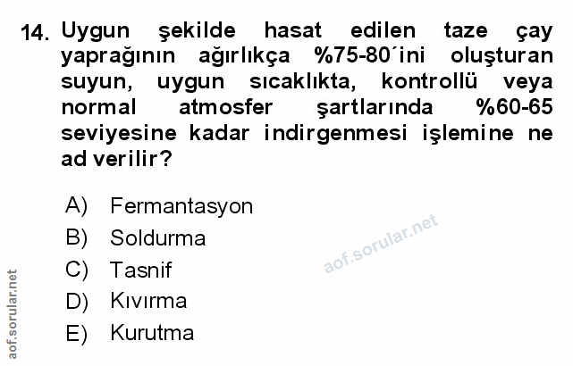 14. soru: Uygun şekilde hasat edilen taze çay yaprağının ağırlıkça %75-80'ini oluşturan suyun, uygun sıcaklıkta, kontrollü veya…