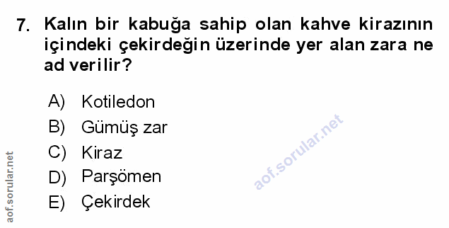 7. soru: Kalın bir kabuğa sahip olan kahve kirazının içindeki çekirdeğin üzerinde yer alan zara ne ad verilir? A) Kotiledon B)…