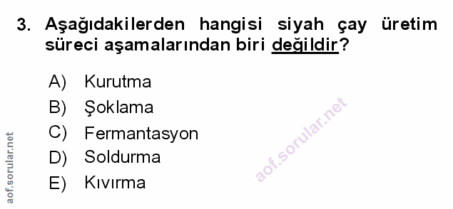 3. soru: Aşağıdakilerden hangisi siyah çay üretim süreci aşamalarından biri değildir? A) Kurutma B) Şoklama C) Fermantasyon .s…