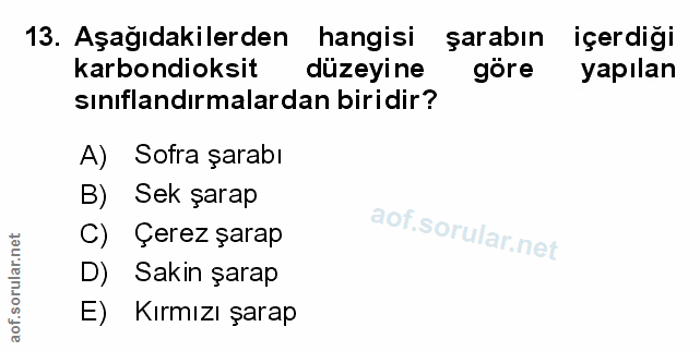 13. soru: Aşağıdakilerden hangisi şarabın içerdiği karbondioksit düzeyine göre yapılan sınıflandırmalardan biridir? A) Sofra şa…