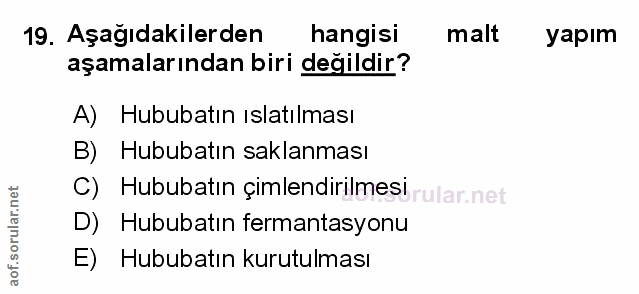 19. soru: Aşağıdakilerden hangisi malt yapım aşamalarından biri değildir? A) Hububatın ıslatılması B) Hububatın saklanması C) H…
