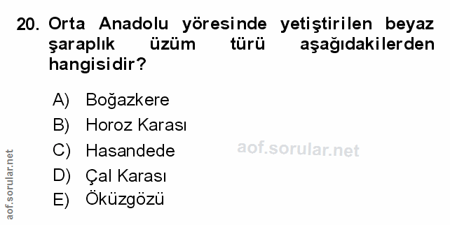 20. soru: Orta Anadolu yöresinde yetiştirilen beyaz şaraplık üzüm türü aşağıdakilerden hangisidir? A) Bogazkere B) Horoz Karası…