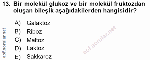 13. soru: Bir molekül glukoz ve bir molekül fruktozdan oluşan bileşik aşağıdakilerden hangisidir? A) Galaktoz B) Riboz C) Malto…