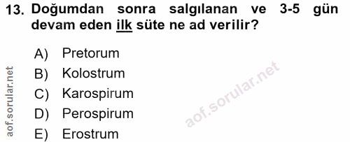 13. soru: Doğumdan sonra salgilanan ve 3-5 gün devam eden ilk süte ne ad verilir? A) Pretorum B) Kolostrum C) Karospirum aof.so…