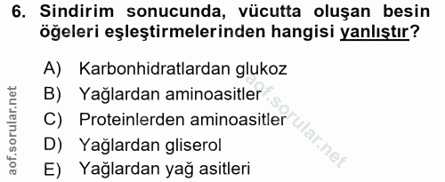 6. soru: Sindirim sonucunda, vücutta oluşan besin öğeleri eşleştirmelerinden hangisi yanlıştır? A) Karbonhidratlardan glukoz B…