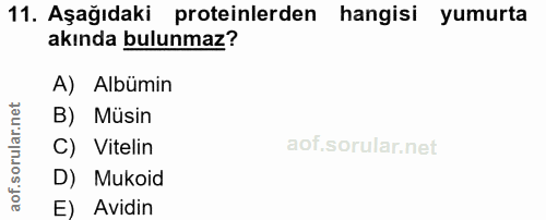 11. soru: Aşağıdaki proteinlerden hangisi yumurta akında bulunmaz? A) Albümin orular.n B) Müsin C) Vitelin aof.s D) Mukoid E) A…